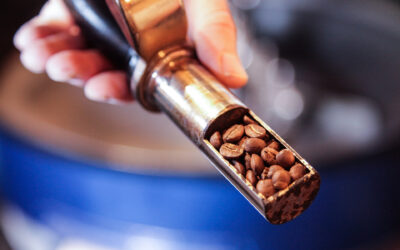 Introducing Condesa’s brand new sample roasters